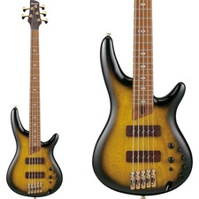 Basso elettrico a 5 corde