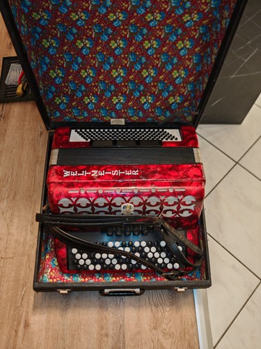 Fisarmonica campione del mondo