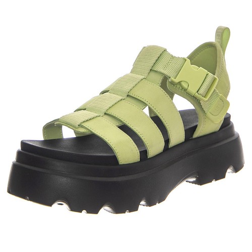 Cora caterpillar green - caterpillar,