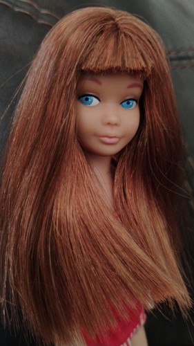 Bambola barbie skipper - barbie, sl
