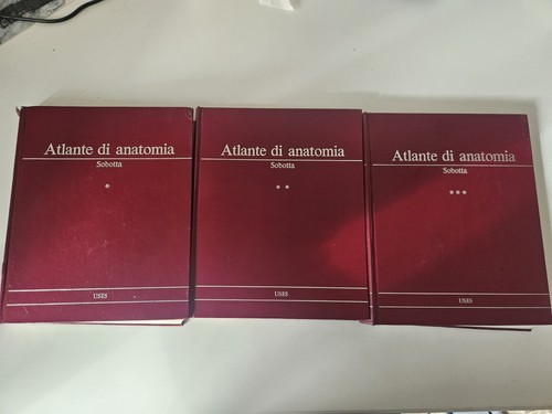 Atlante anatomia 3 - atlante,