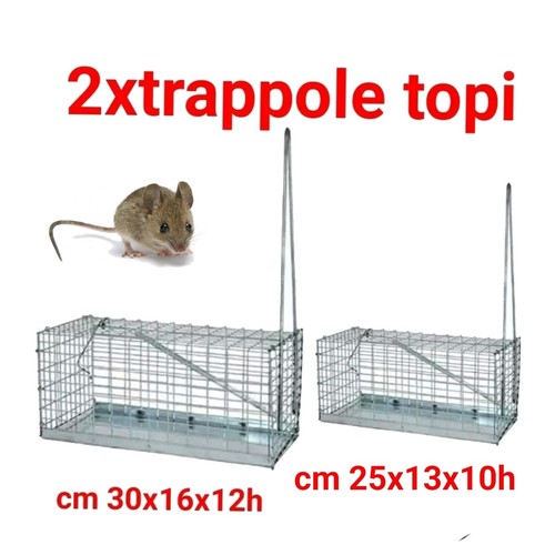 Trappola galleria per topi - a, x