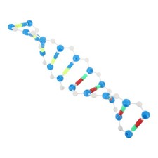  Modello Genetico Dna