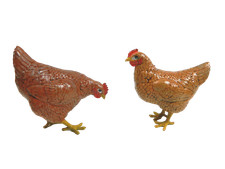 Galline per Pastori Alti Cm