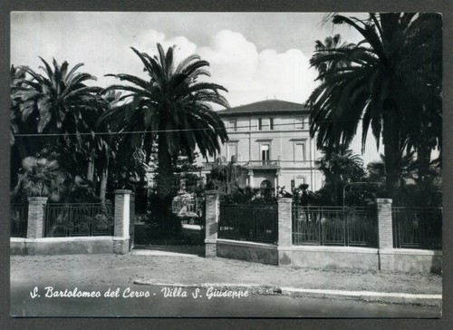 Bartolomeo del cervo - s.,