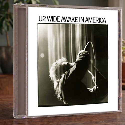 Wide awake in america - -,