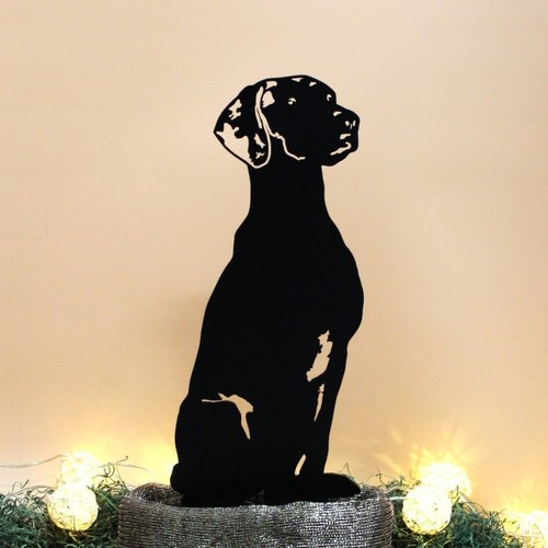 Rhodesian ridgeback black - rhodesian,