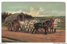 ASJP17-0938-FANTASIA - Cavalli