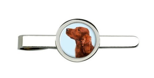 Irlandese rosso setter - irlandese,