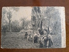 Cartolina Palermo Raccolta