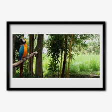 100x70 Cornice di legno MDF