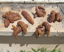 SIAMO NELLA MERDA Scherzi Carnevale Halloween cacca finta SHIT  6 merde SCHIFOSE