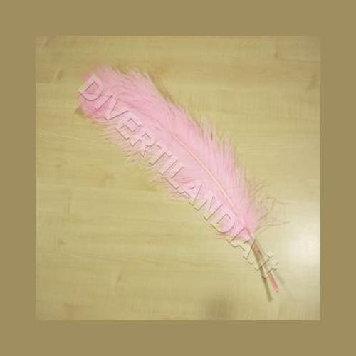 Piuma struzzo colore rosa - di,