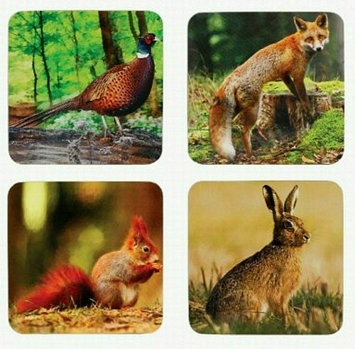 Set sottobicchieri fauna - set,