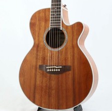 Chitarra elettrica acustica