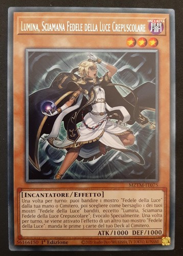 Lumina sciamana fedele della - sciamana,