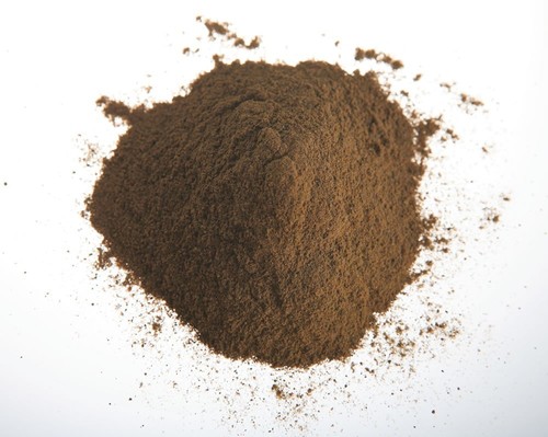 Wild chaga - chaga, obliquus)