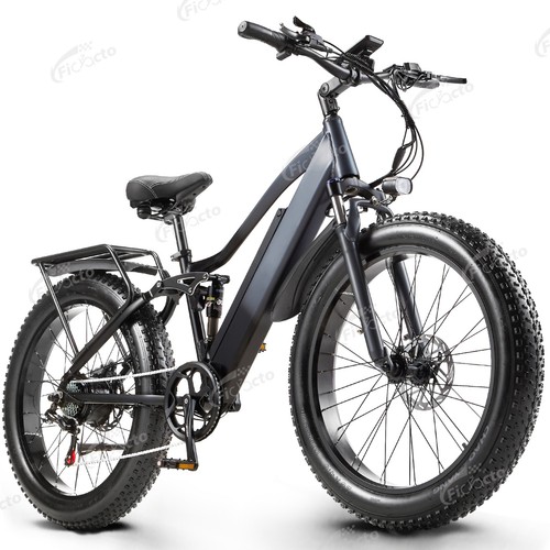 Bicicletta elettrica 48v 18ah - elettrica,