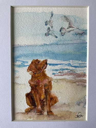 Quadro acquerello originale