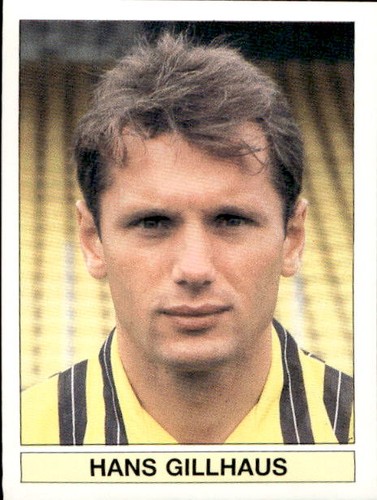 Figurina panini usa - panini, dutch
