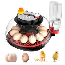 Incubatrice per uova - incubatrice,