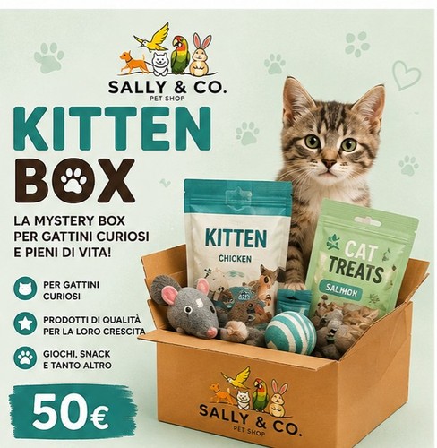 Lotto box cane gatto - lotto, cane/gatto
