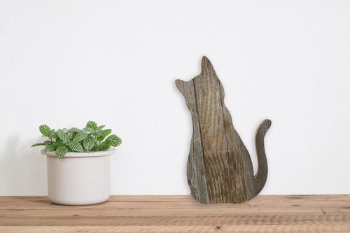 Rustico casale legno - casale,