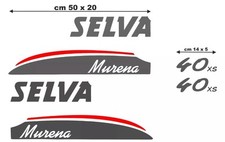 Coppia adesivi per motore