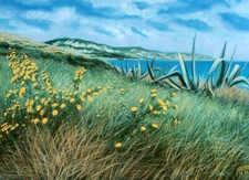 FRANCO AZZINARI 50x70 olio su