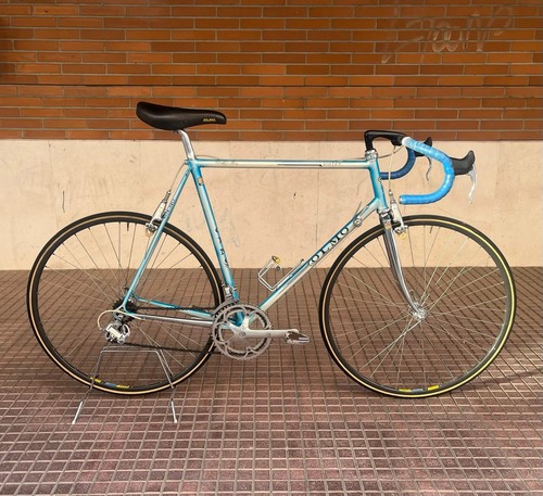 Olmo sintex 1991 - olmo,