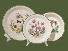 CERAMICA ENOCH WEDGWOOD VINTAGE SERVIZIO 18 PIATTI SERIE BOTANICA FLORABUNDA