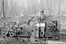Asino Puncher, Gyppo Logging, Tillamook Cnty, OR - 1941 - Stampa fotografica storica