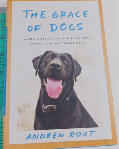 The grace dogs boy a - dogs:,