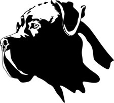 Adesivo CANE CORSO - adesivo