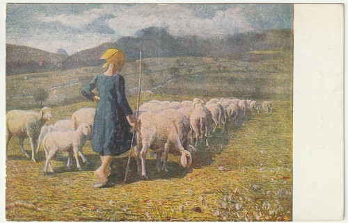 Illustratore sottocornola - -,