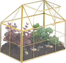 Terrario Piante, Mini Serra in