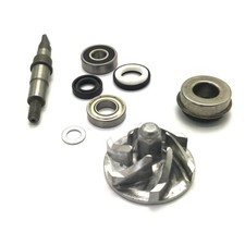 Pompa acqua Assy per Bashan