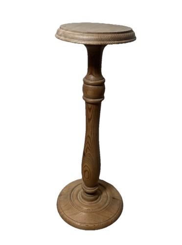 Bella lampada pianta