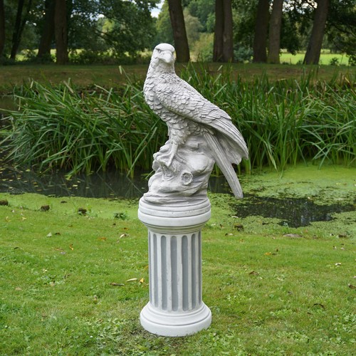 Aquila reale - , su