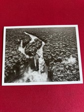 Sebastião Salgado - Waterfalls of Ichun-Prarara (Genesis, 2006)