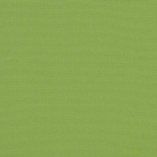 OMBRELLONE GINKGO 54011