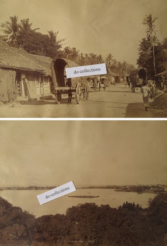 Ceylon grandi foto antiche - 2,