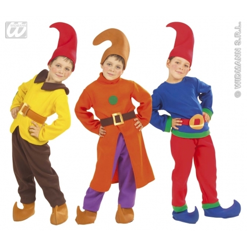 Carnevale costume vestito - carnevale,