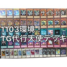 1103環境 TG 代行 天使