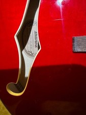 2019 Ibanez Guitar  w/Velvet