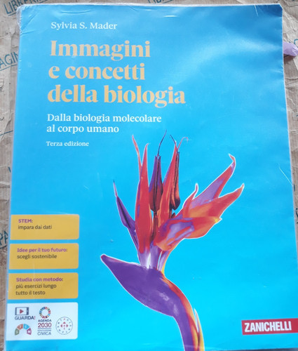 Immagini concetti della - concetti,