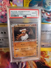 Carta Pokemon Landorus Holo BW
