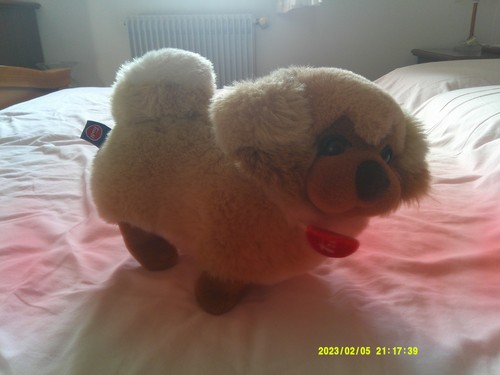 Peluche trudi cane - peluche,