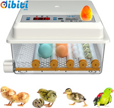 16 Uova Incubatrice per Uova Automatica Controllo Automatico Della Temperatura G