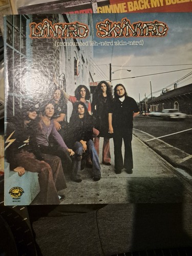 Lotto lynyrd skynyrd - lynyrd,